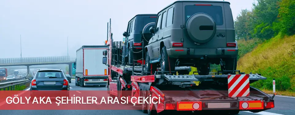 Gölyaka İlçemi Şehirler Arası Çekici